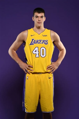 Ivica Zubac Poster 3460191