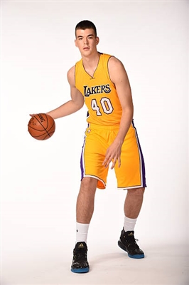 Ivica Zubac Poster 3460195