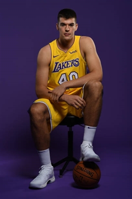 Ivica Zubac Poster 3460199