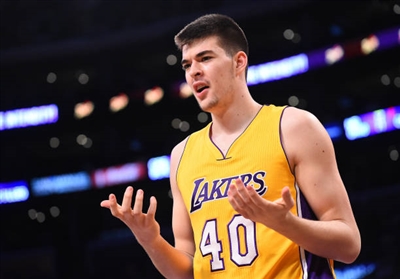 Ivica Zubac Poster 3460202