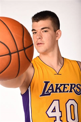 Ivica Zubac stickers 3460204
