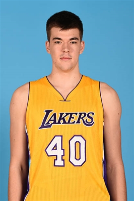 Ivica Zubac Poster 3460221