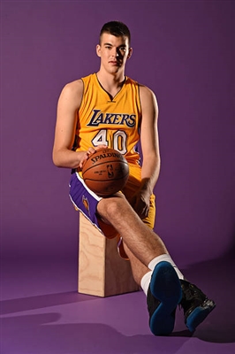 Ivica Zubac Poster 3460234