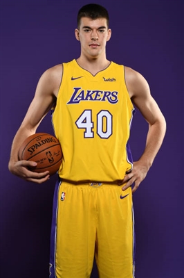 Ivica Zubac Poster 3460251