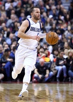 J.J. Barea hoodie #3372429