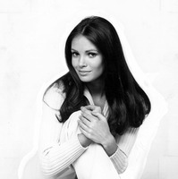 Jaclyn Smith Sweatshirt #2603413