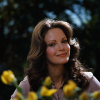 Jaclyn Smith Sweatshirt #2603436