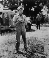 James Dean Sweatshirt #2544771