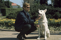 James Franciscus hoodie #2554888