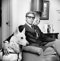 James Franciscus hoodie #2554889