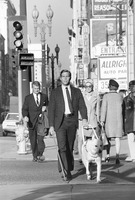 James Franciscus Tank Top #2554944