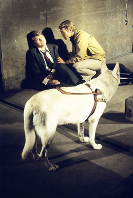 James Franciscus posters