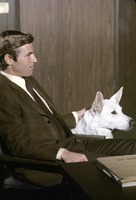 James Franciscus Sweatshirt #2554948