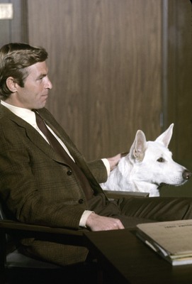 James Franciscus posters