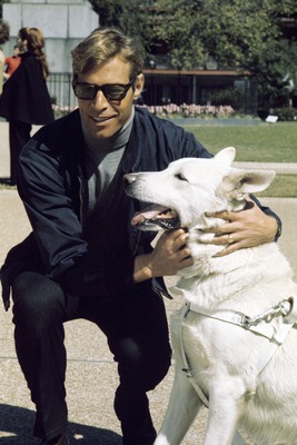 James Franciscus posters