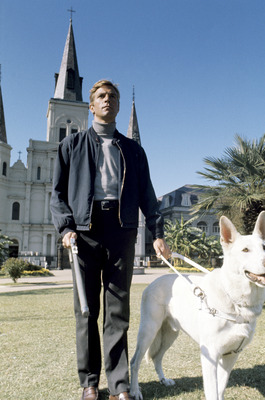 James Franciscus posters