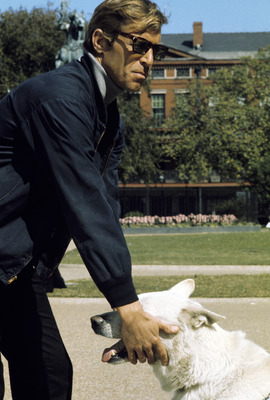 James Franciscus posters