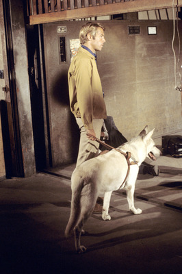 James Franciscus posters