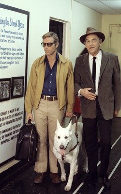 James Franciscus posters