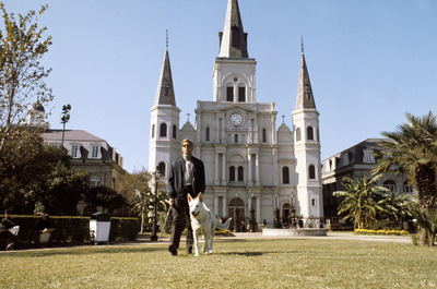 James Franciscus posters