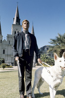 James Franciscus Sweatshirt #2554962