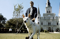 James Franciscus Tank Top #2554964