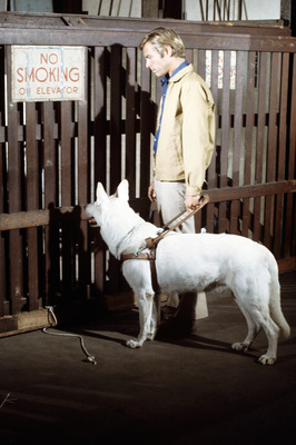 James Franciscus posters