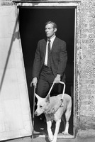 James Franciscus tote bag #G821818