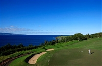 James Hahn tote bag #G1752870