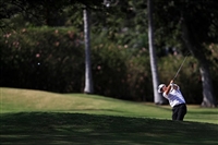 James Hahn Sweatshirt #3510714