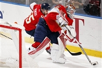 James Reimer hoodie #3572783