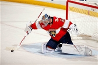 James Reimer Sweatshirt #3572805