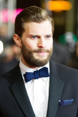 Jamie Dornan Poster 2724004