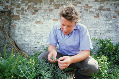 Jamie Oliver posters