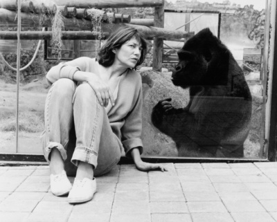 Jane Birkin posters