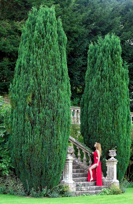 Jane Seymour posters