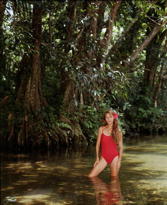 Jane Seymour posters