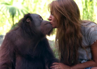 Jane Seymour posters