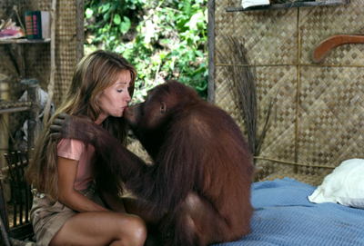 Jane Seymour posters