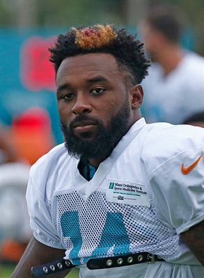 Jarvis Landry canvas poster