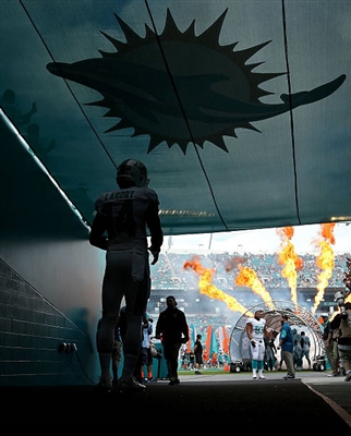 Jarvis Landry posters