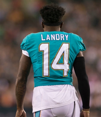 Jarvis Landry posters
