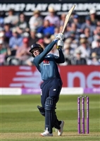 Jason Roy tote bag #G2322508