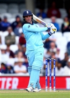 Jason Roy hoodie #3705280