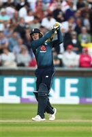 Jason Roy tote bag #G2322550