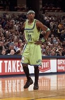 Jason Terry Sweatshirt #3449684