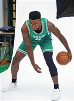 Jaylen Brown mug #G1621047