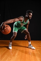 Jaylen Brown mug #G1621124