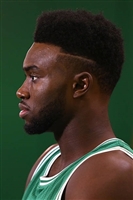 Jaylen Brown mug #G1621216