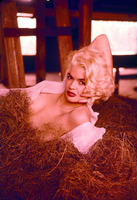 Jayne Mansfield Sweatshirt #2675795